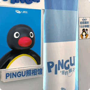 快闪活动 / PINGU